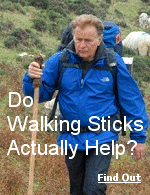 Martin Sheen relied on his walking stick on the El Camino de Santiago in the movie ''The Way''.